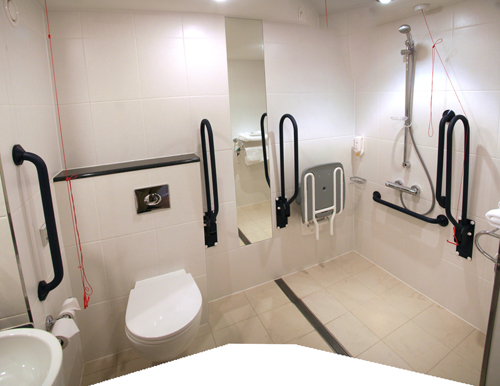 AMEA-Disabled-Bathroom-Shower