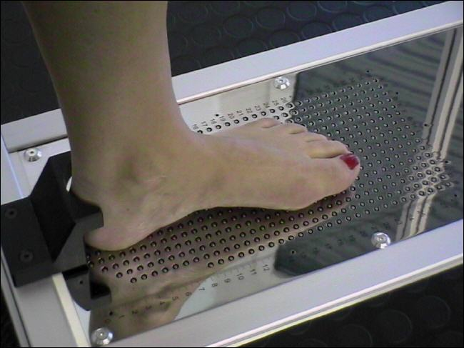 7_pelmata3