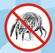 9_antiallergika1